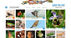 Desktop Screenshot of fromycamera.com
